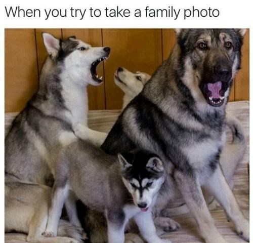 When you try to take a family photo