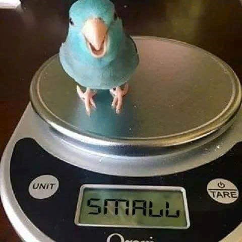 UNIT SMALL e TARE