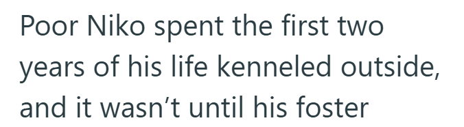 Poor Niko spent the first two years of his life kenneled outside, and it wasn't until his foster