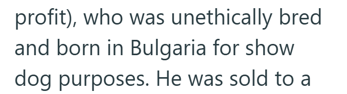 profit), who was unethically bred and born in Bulgaria for show dog purposes. He was sold to a