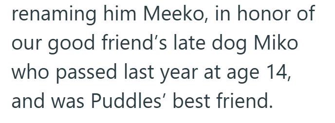 renaming him Meeko, in honor of our good friend's late dog Miko who passed last year at age 14, and was Puddles' best friend.