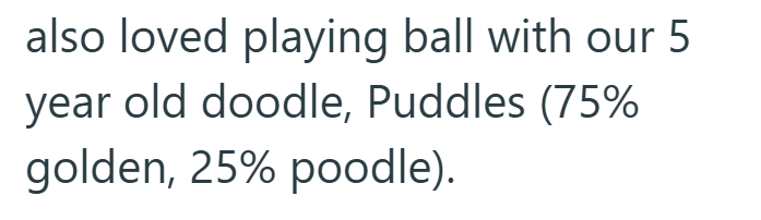 also loved playing ball with our 5 year old doodle, Puddles (75% golden, 25% poodle).