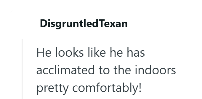 Disgruntled Texan He looks like he has acclimated to the indoors pretty comfortably!