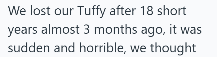 We lost our Tuffy after 18 short years almost 3 months ago, it was sudden and horrible, we thought