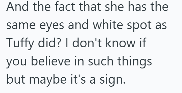 And the fact that she has the same eyes and white spot as Tuffy did? I don't know if you believe in such things but maybe it's a sign.