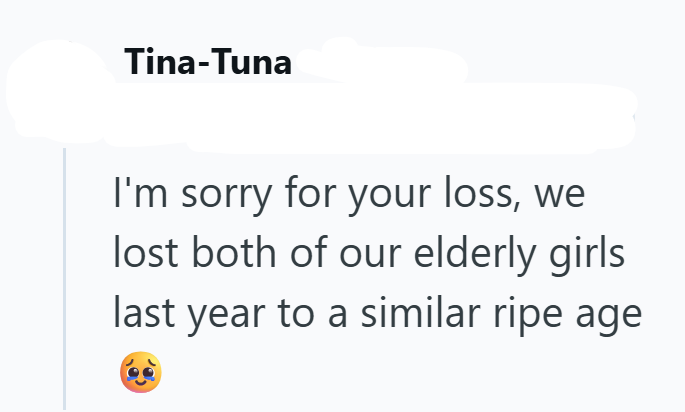 Tina-Tuna I'm sorry for your loss, we lost both of our elderly girls last year to a similar ripe age