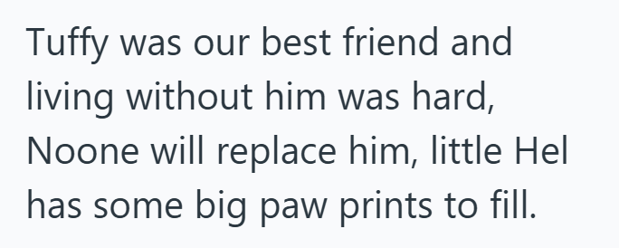 Tuffy was our best friend and living without him was hard, Noone will replace him, little Hel has some big paw prints to fill.