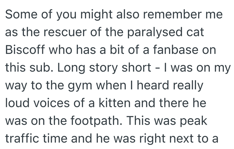 Some of you might also remember me as the rescuer of the paralysed cat Biscoff who has a bit of a fanbase on this sub. Long story short - I was on my way to the gym when I heard really loud voices of a kitten and there he was on the footpath. This was peak traffic time and he was right next to a