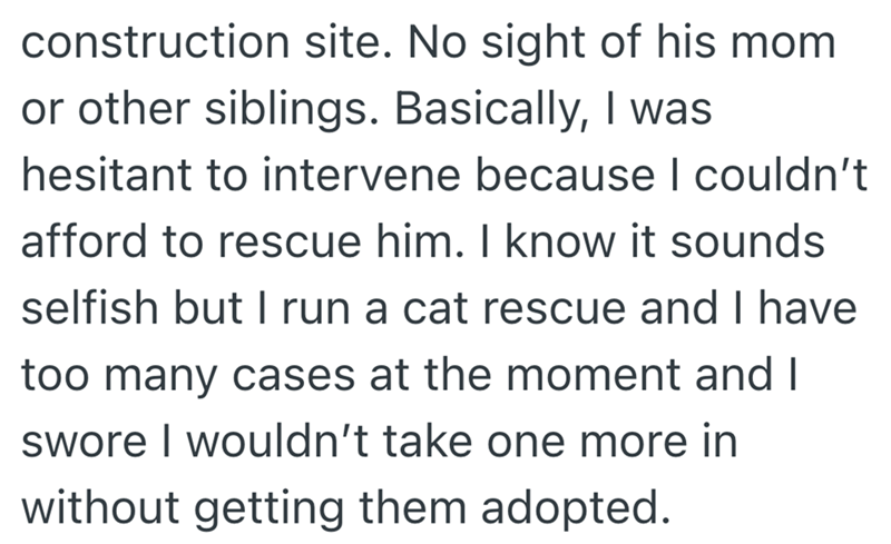 construction site. No sight of his mom or other siblings. Basically, I was hesitant to intervene because I couldn't afford to rescue him. I know it sounds selfish but I run a cat rescue and I have too many cases at the moment and I swore I wouldn't take one more in without getting them adopted.