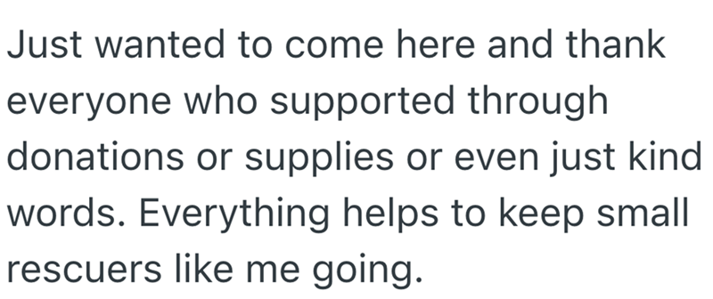 Just wanted to come here and thank everyone who supported through donations or supplies or even just kind words. Everything helps to keep small rescuers like me going.