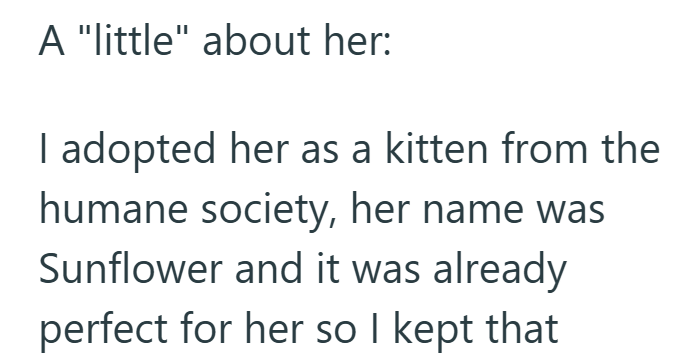 A "little" about her: I adopted her as a kitten from the humane society, her name was Sunflower and it was already perfect for her so I kept that