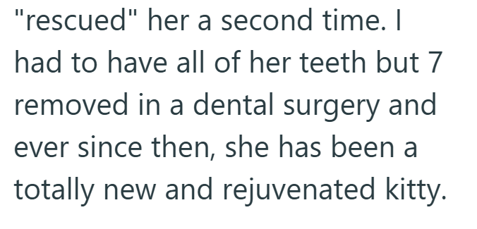 "rescued" her a second time. I had to have all of her teeth but 7 removed in a dental surgery and ever since then, she has been a totally new and rejuvenated kitty.