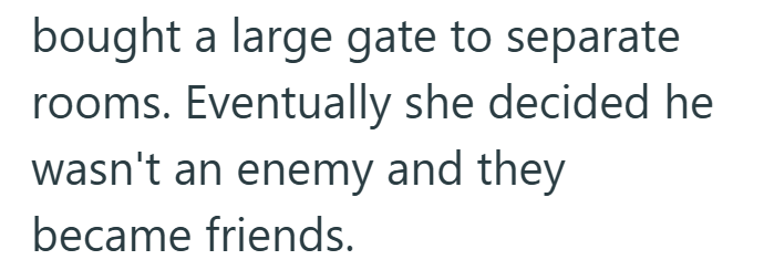 bought a large gate to separate rooms. Eventually she decided he wasn't an enemy and they became friends.