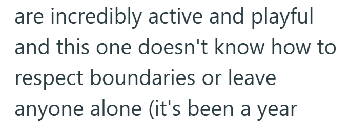 are incredibly active and playful and this one doesn't know how to respect boundaries or leave anyone alone (it's been a year