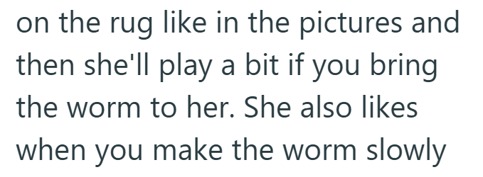 on the rug like in the pictures and then she'll play a bit if you bring the worm to her. She also likes when you make the worm slowly