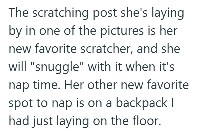 The scratching post she's laying by in one of the pictures is her new favorite scratcher, and she will "snuggle" with it when it's nap time. Her other new favorite spot to nap is on a backpack I had just laying on the floor.