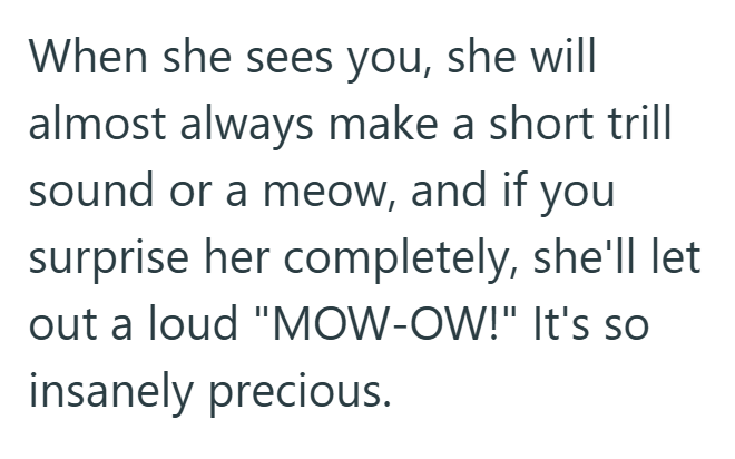 When she sees you, she will almost always make a short trill sound or a meow, and if you surprise her completely, she'll let out a loud "MOW-OW!" It's so insanely precious.