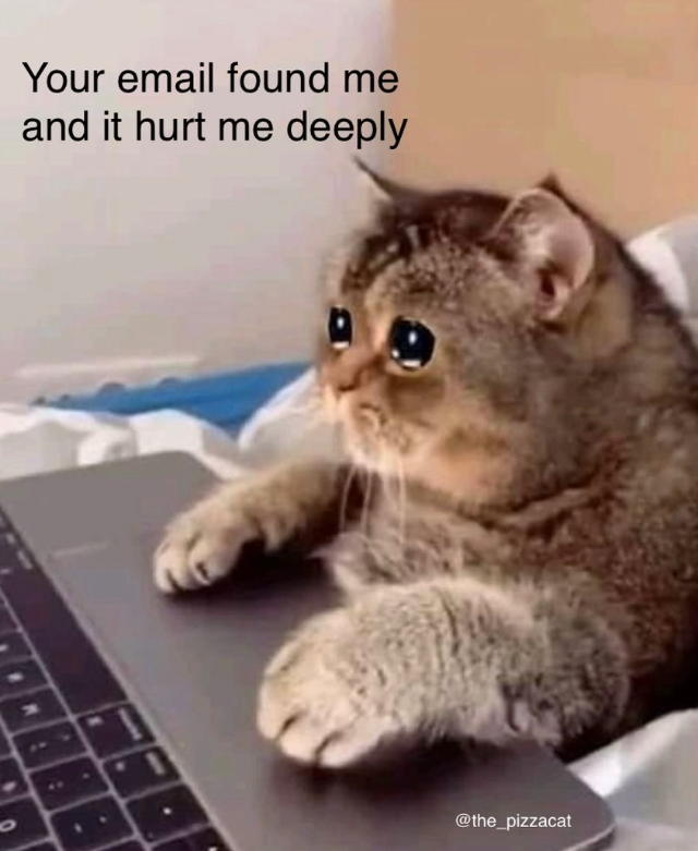 Your email found me and it hurt me deeply @the_pizzacat
