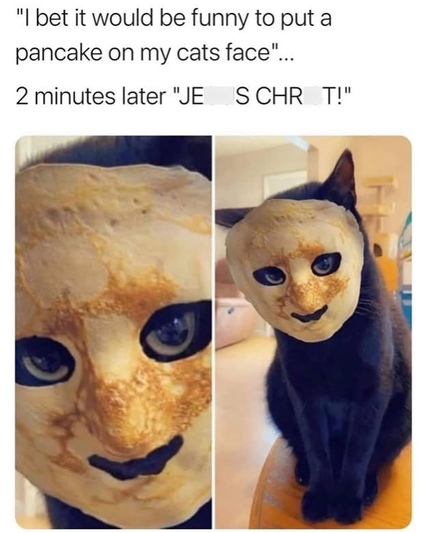 "I bet it would be funny to put a pancake on my cats face"... 2 minutes later "JE S CHR_T!"