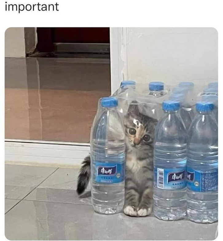 important o