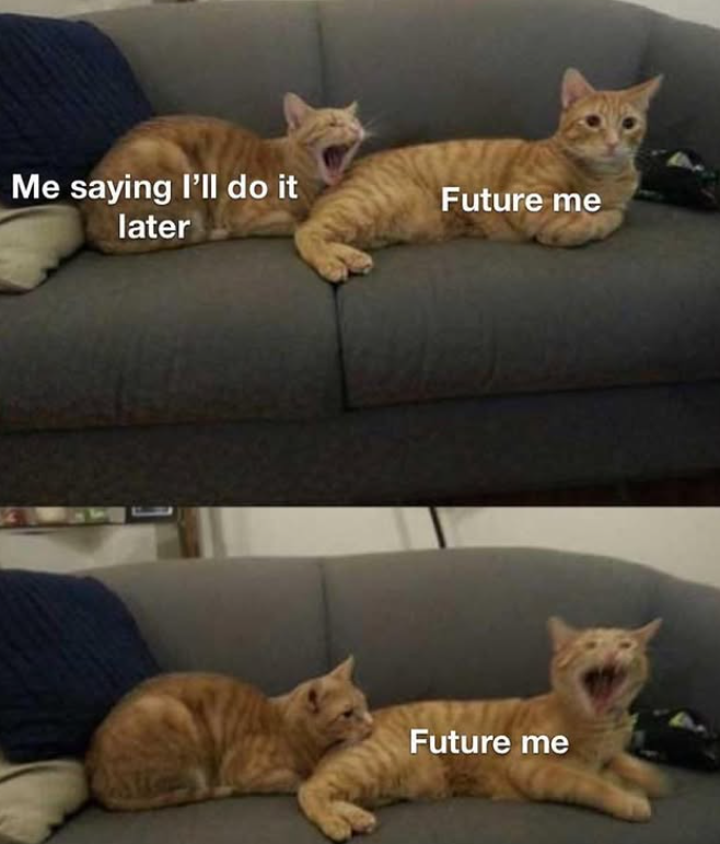 Me saying I'll do it Future me later Future me