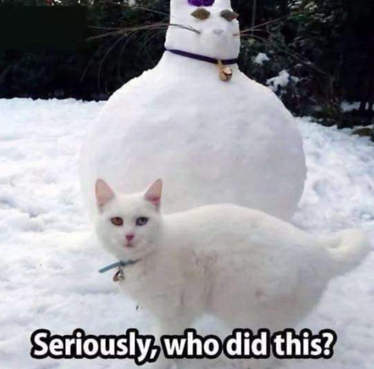 Seriously, who did this?