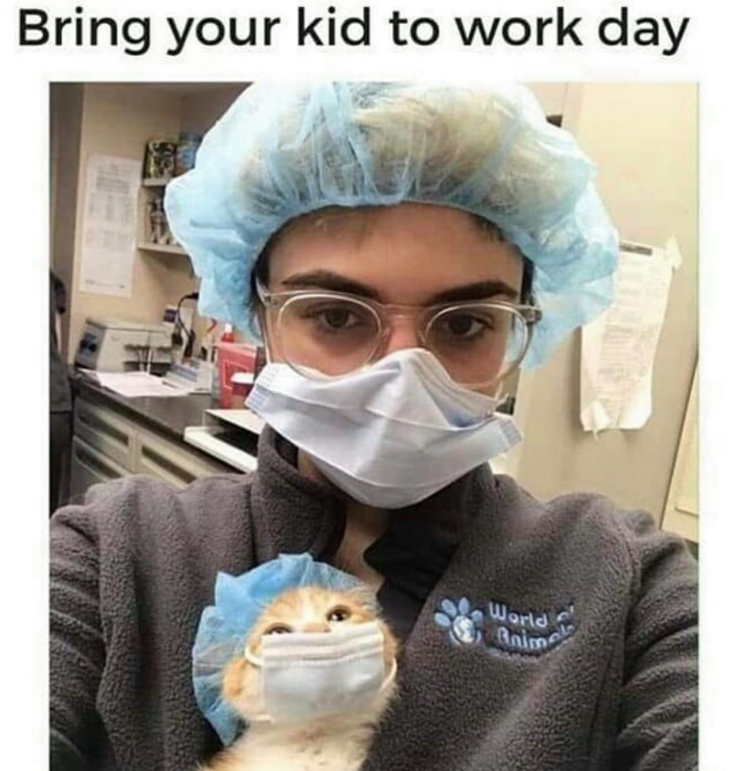 Bring your kid to work day World Gaime