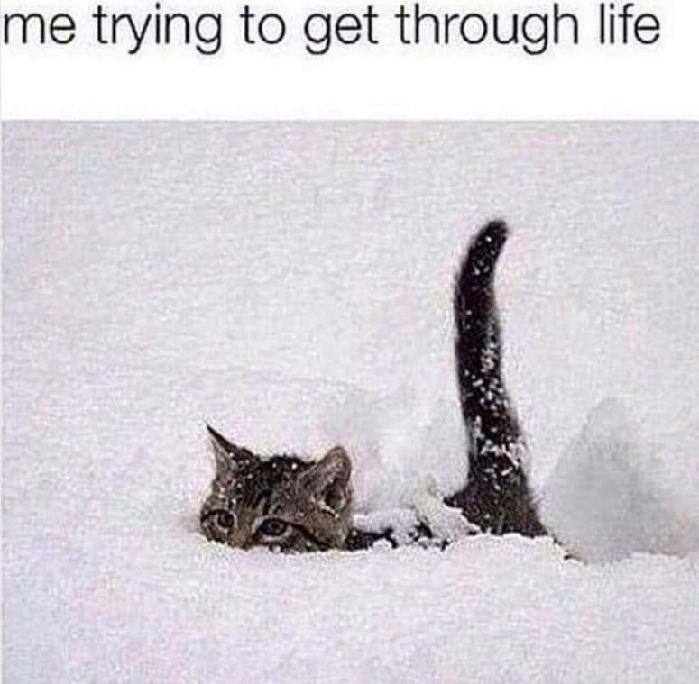 me trying to get through life