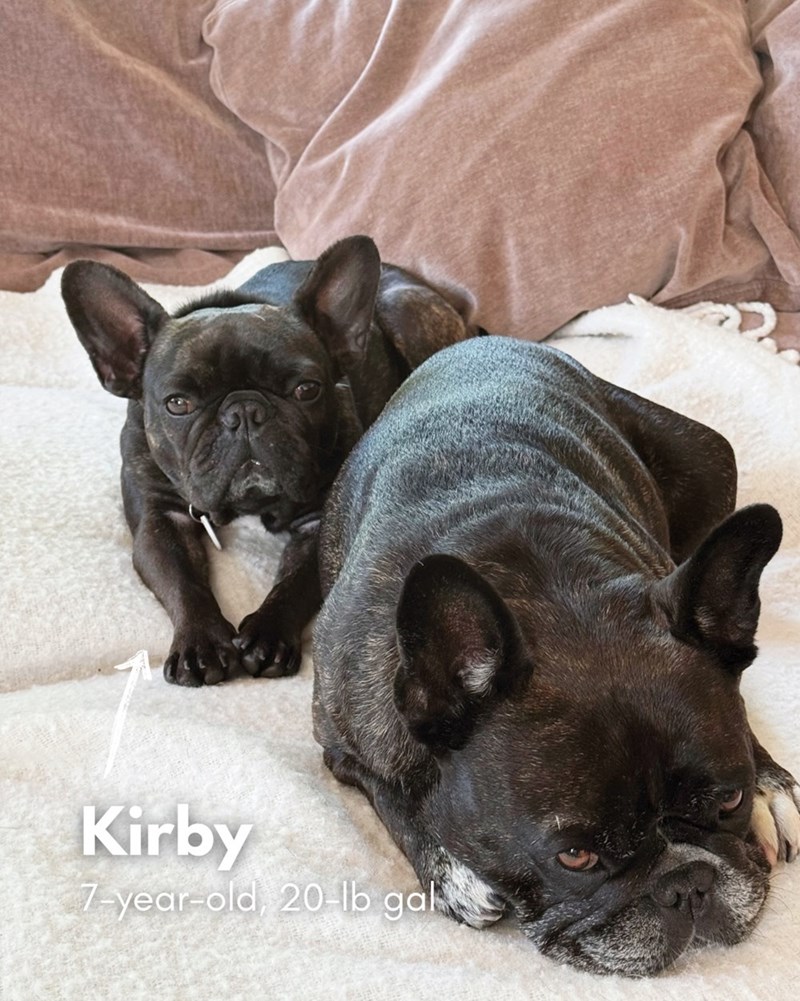 Kirby 7-year-old, 20-lb gal