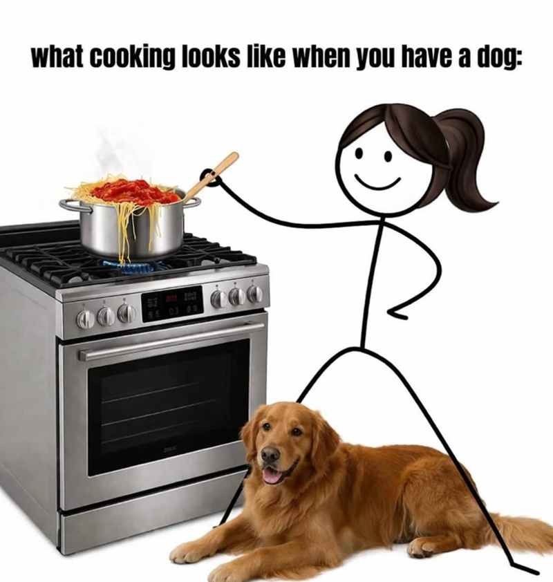 what cooking looks like when you have a dog: 95 03 09