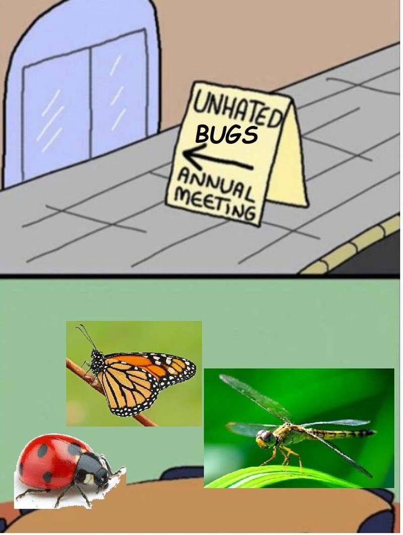 UNHATED BUGS ANNUAL MEETING