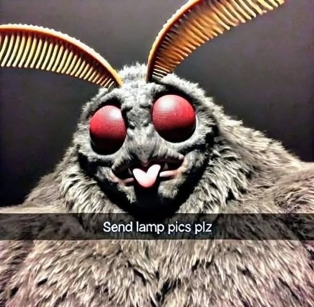 Send lamp pics plz