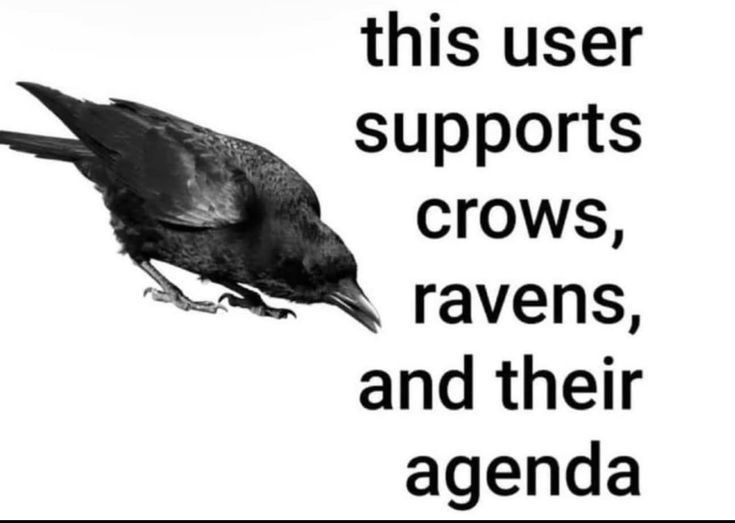 this user supports crows, ravens, and their agenda