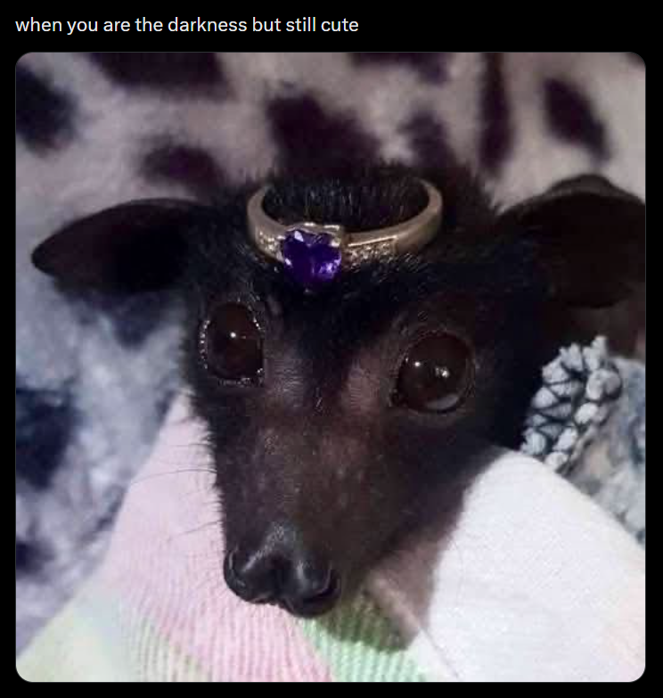 when you are the darkness but still cute
