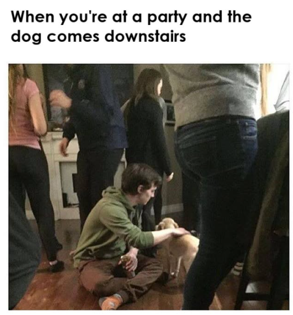 When you're at a party and the dog comes downstairs