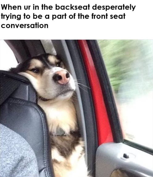 When ur in the backseat desperately trying to be a part of the front seat conversation