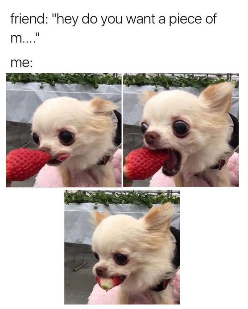 friend: "hey do you want a piece of m...." me: