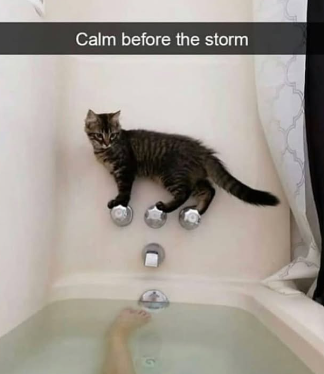 Calm before the storm 9