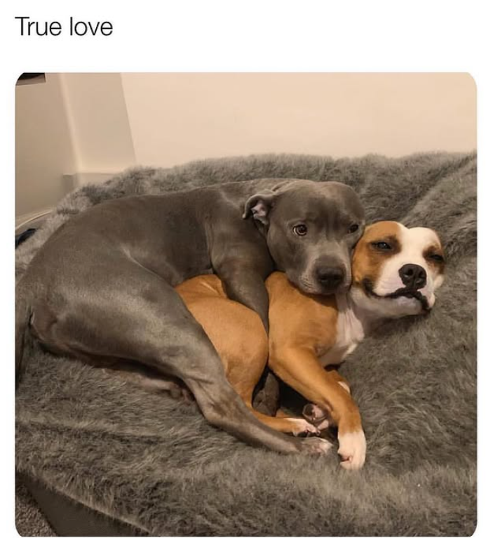 True love