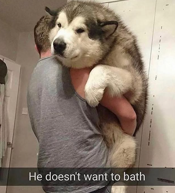 He doesn't want to bath