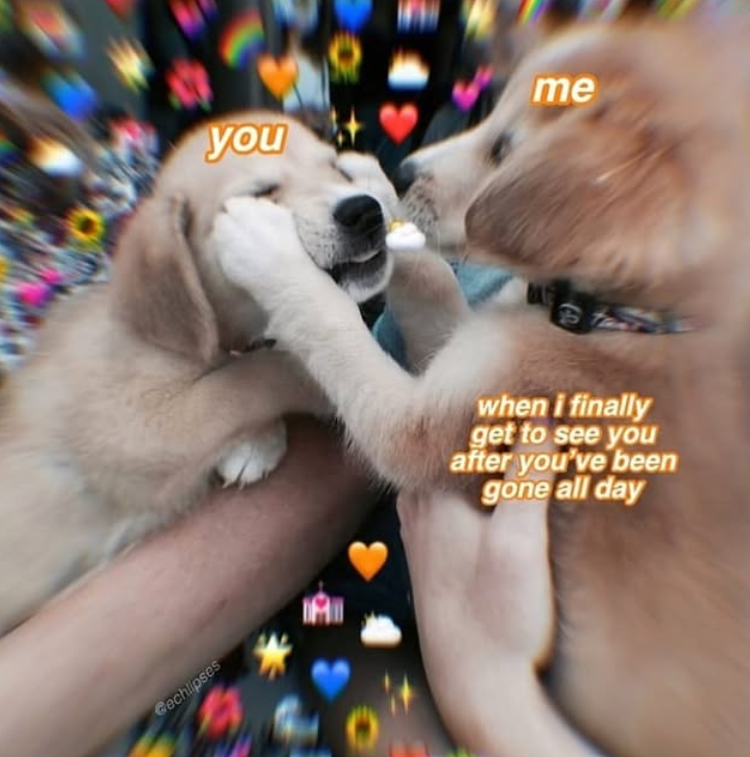 Gechlipses you me when i finally get to see you after you've been gone all day