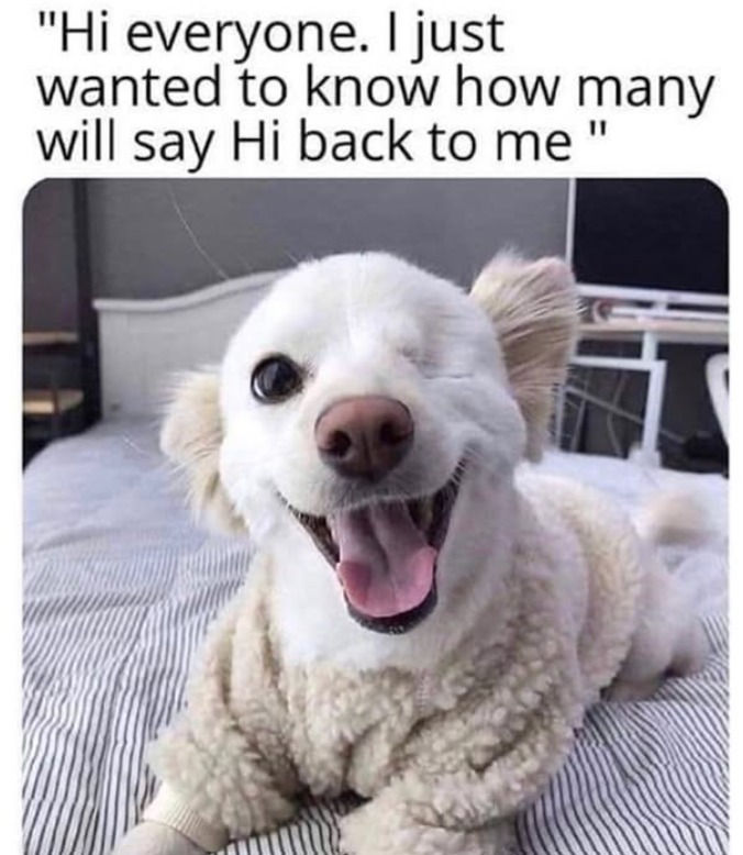 "Hi everyone. I just wanted to know how many will say Hi back to me