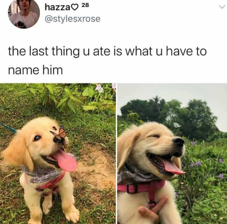 hazza 28 @stylesxrose the last thing u ate is what u have to name him