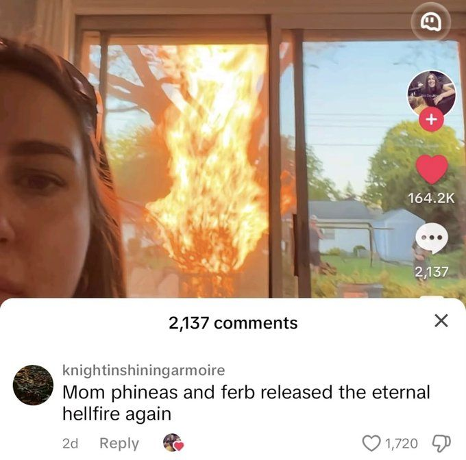 + B 164.2K 2,137 2,137 comments knightinshiningarmoire Mom phineas and ferb released the eternal hellfire again 2d Reply 1,720