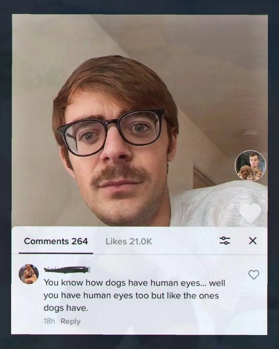 Comments 264 Likes 21.OK You know how dogs have human eyes... well you have human eyes too but like the ones dogs have. 18h Reply
