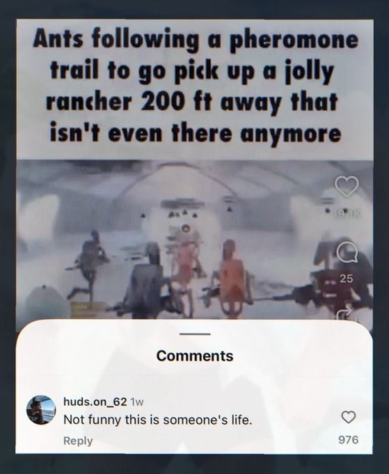 Ants following a pheromone trail to go pick up a jolly rancher 200 ft away that isn't even there anymore Comments huds.on_62 1w Not funny this is someone's life. Reply 19.1K 25 976