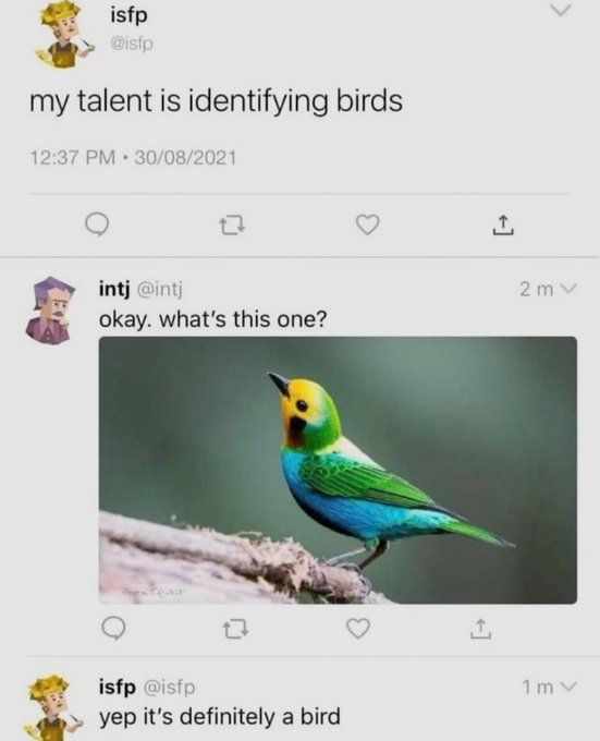 isfp Disp my talent is identifying birds 12:37 PM 30/08/2021 intj @intj okay. what's this one? isfp @isfp yep it's definitely a bird 1 2m v +] 1 m v