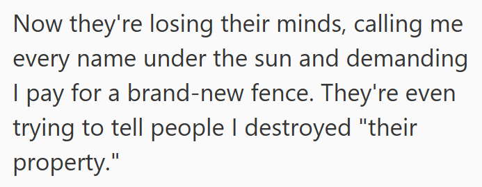 Now they're losing their minds, calling me every name under the sun and demanding I pay for a brand-new fence. They're even trying to tell people I destroyed "their property."