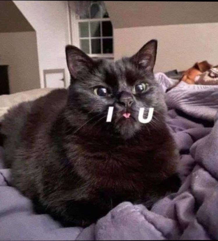 I U