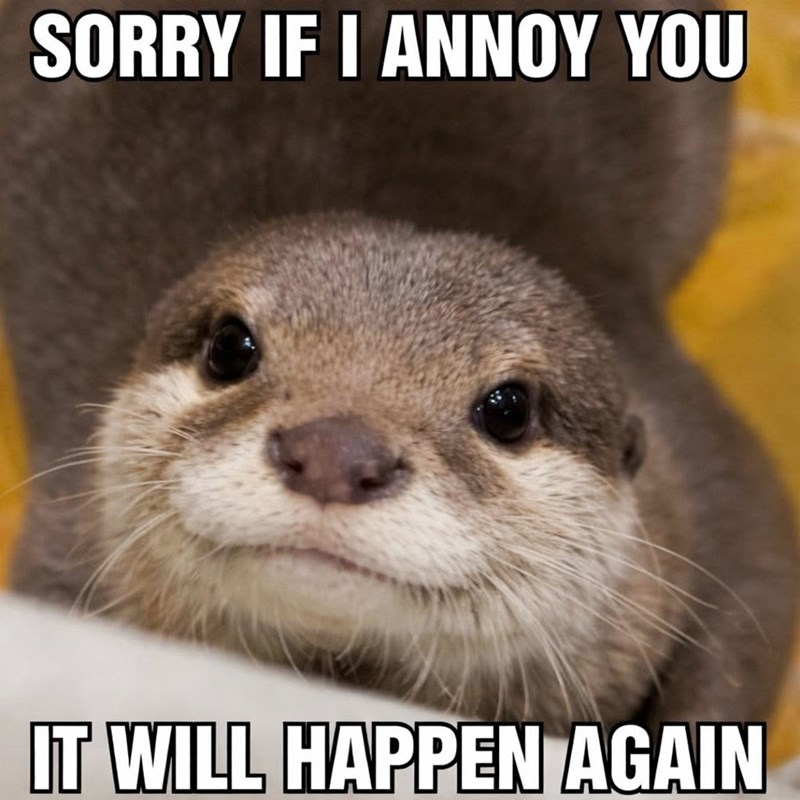 SORRY IF I ANNOY YOU IT WILL HAPPEN AGAIN